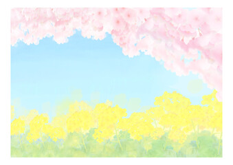 Fototapeta premium 桜と菜の花の風景