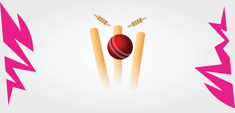 cricket wicket with ball for cricket tournament poster 