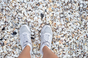 Female legs in white sneakers on a shell beach. Travel and tourism.