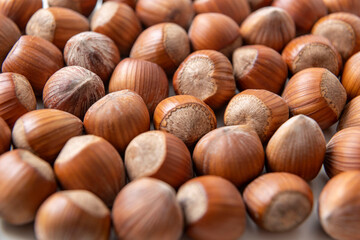 natural hazelnuts on white surface - close macro photo