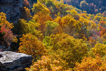 Cliffside view of autumn foliage at Mount Magazine State Park.