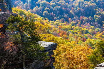 Cliffside view of autumn foliage at Mount Magazine State Park.