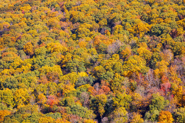 Autumn colors at Mount Magazine State Park.