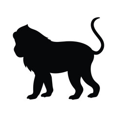 Baboon silhouette on white background