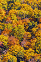 Autumn colors at Mount Magazine State Park.