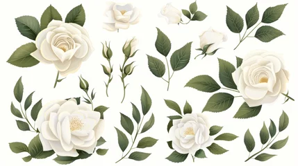 Fotobehang White rose branches set with green leaves in a wedding concept. Floral poster for greeting cards or invitations. Modern arrangements for greeting cards or invitations. © Mark