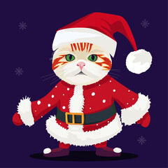 Cute Cat with Christmas Clothes
