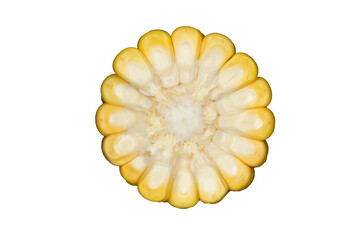 Half fresh corn. Half corn isolated on transparent background