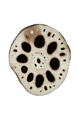 Piece of lotus root. Slices of lotus root isolated on transparent background