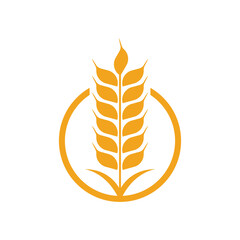 Agriculture wheat Logo