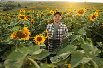 Smart farming. Farmer holds digital tablet at blooming sunflowers field, smiles, looks at camera....