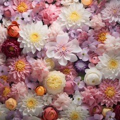 An aerial view of dozens of colorful flowers, petals of different kinds of flower species. Mixed. Flowering flowers, a symbol of spring, new life.