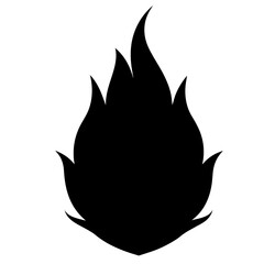 campfire flame fire icon