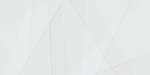 Obraz premium Abstract white and gray line background design. abstract white and grey on light silver background modern design. Low poly vector illustration. triangle pattern gradient background.