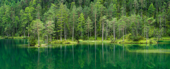 Österreich, Tirol, Fernsteinsee, Wald