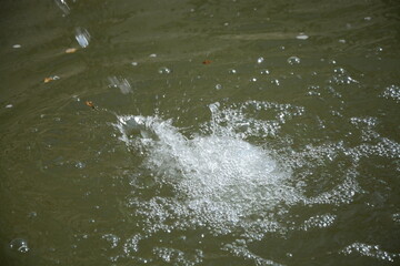 Wasserspiel im Springbrunnenbecken