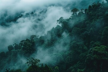 Enchanting High-Altitude Cloud Forest Blanketed in Mist on Earth Day