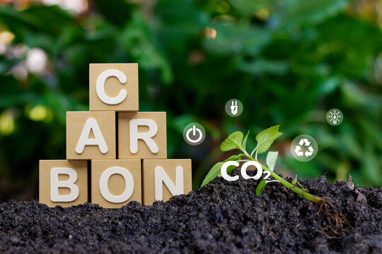 Carbon Neutrality and Net Zero concept. wooden blocks and green net center icon on blur nature background