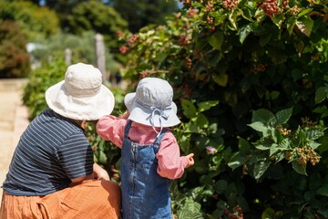 Fototapeta na wymiar children gardening in the veggie patch in australia