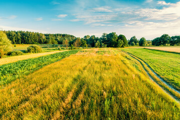 Beautiful landscape. Summer rural landscape. View of sunny fields in daylight - 762484701