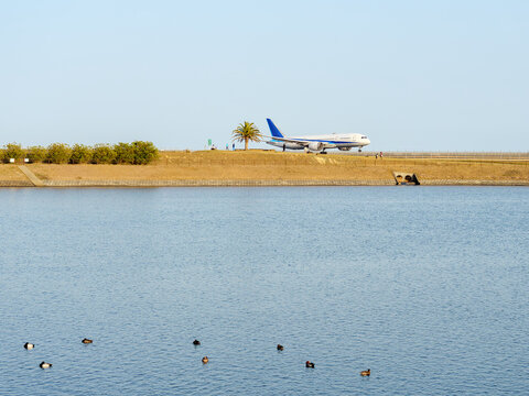 公園の横を通り過ぎる着陸直後の飛行機