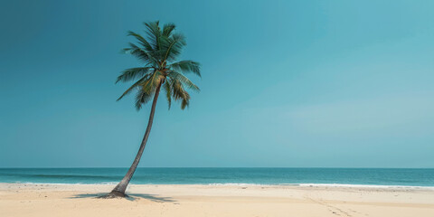 Fototapeta premium A lone palm tree stands against a clear blue sky on a flawless white-sand beach