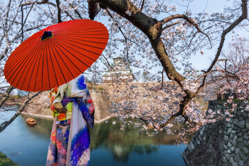 Asian woman wearing japanese traditional kimono at Osaka Castle and full cherry blossom.
