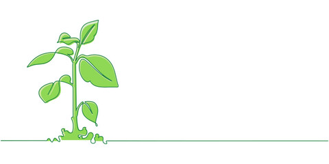 green plant line art style vector illustration