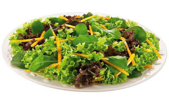 prato com salada de r&uacute;cula, alface, espinafre, repolho, agri&atilde;o e cenoura ralada isolado em fundo transparente