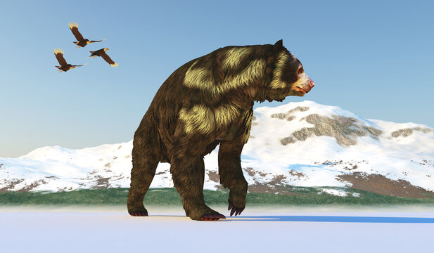 North American Short-Faced Bear - Arctodus was an omnivorous short-faced bear that lived in North America during the Pleistocene Period.