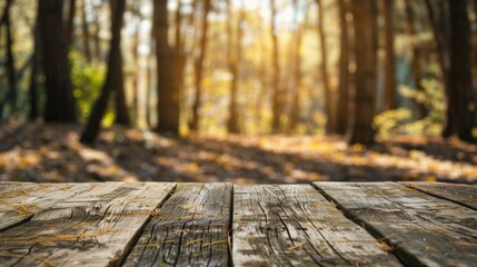 wooden bridge in autumn forest