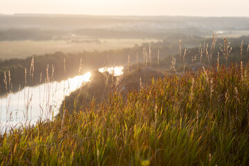 Meadow grasses and a river in the rays of the rising sun on the background - 762513348