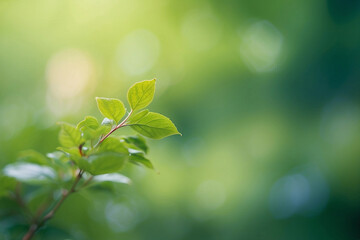 a close-up of green leaves on the ground, Flowers and Plants are nature's Blurred Background