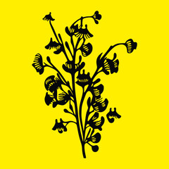 yellow flowers on a black