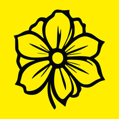 yellow flower isolated on white