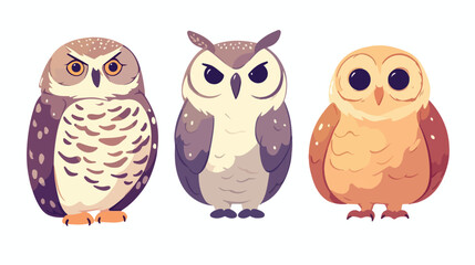 Illustration with owls isolated on white background