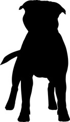 Vector isolated black silhouette of a dog English Staffordshire Bull Terrier. Staffy dog,  outline sketch, icon, logo, label.
