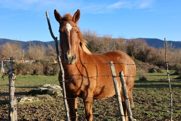 Obraz premium playas, destinos turísticos entre otros