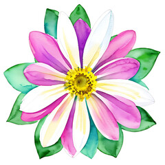 Fototapeta premium Abstract Watercolor flower clipart Perfect for Pattern design or Design Template. Generative AI. V57