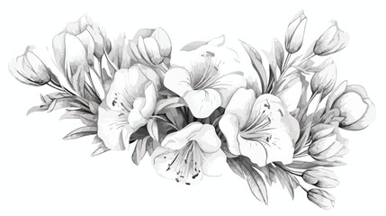 White freesia exotic flower blossom