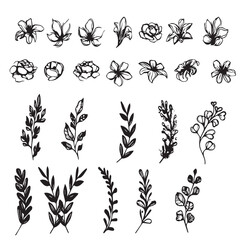 Vector illustrations. Hand-drawn Vintage drawings on the chalkboard. Flowering vintage collection flowers sketches. Botanical illustrations isolated on white. Botanical drawings of hand drawn
