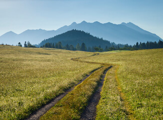 Deutschland, Bayern, Karrenweg, Wiese, Karwendel