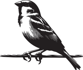 Sparrow Silhouette On A Branch On A Transparent Background