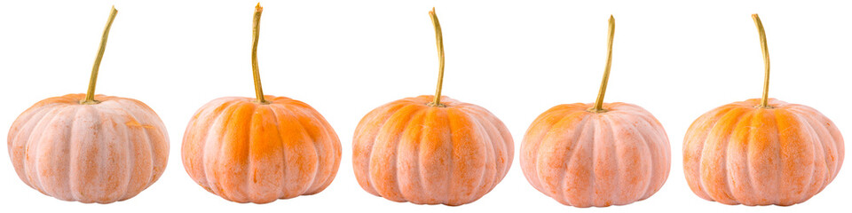 Pumpkins isolated on white background. Pumpkin in different points of view.