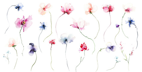 Watercolor floral set of violet, pink, blue, red, poppy, rose, peony, and other wild flowers. Hand drawn illustration on white background. Watercolour clipart drawing.