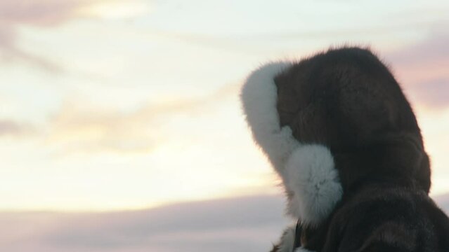 Closeup running fast reindeers and man on a sleigh in the middle of Arctic beautiful capturing video