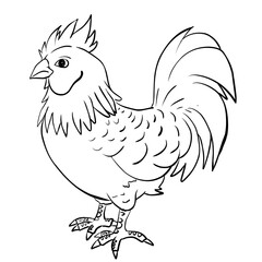 Line rooster isolated on white background