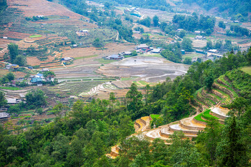 Fototapeta premium Terraced Rice Fields in Spring - Sapa, Vietnam