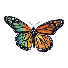 Fototapeta na wymiar monarch butterfly with blues silver green