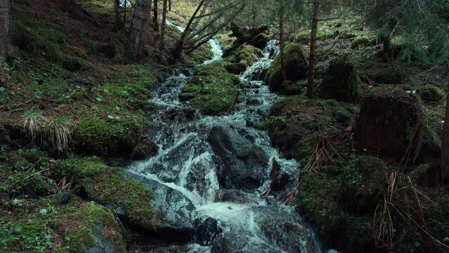 Natural mountain water streams trickle down the hill. Melted snow clear ice cold water in river on spring day in the forest